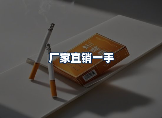 专业团队办公环境